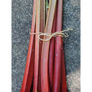 BIO rebarbora 500g (Damnice)  
