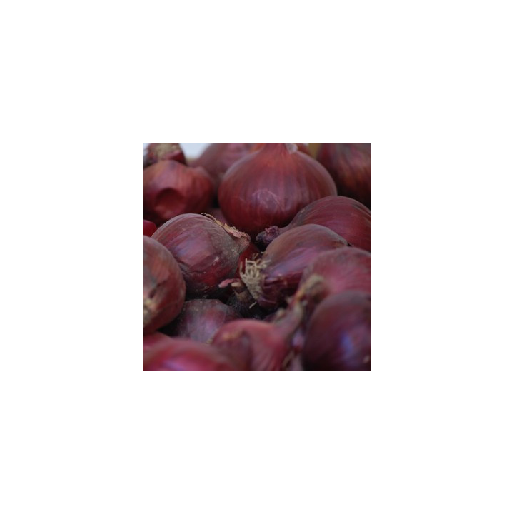 Cibule červená 500g  (Tvarožná)