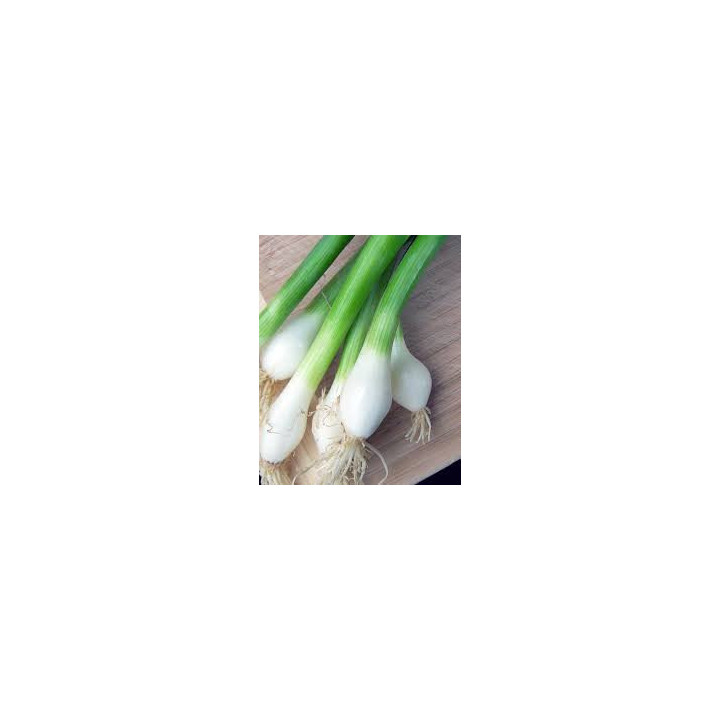 Bio cibule s natí svazek (Socialni podnik Jasan)
