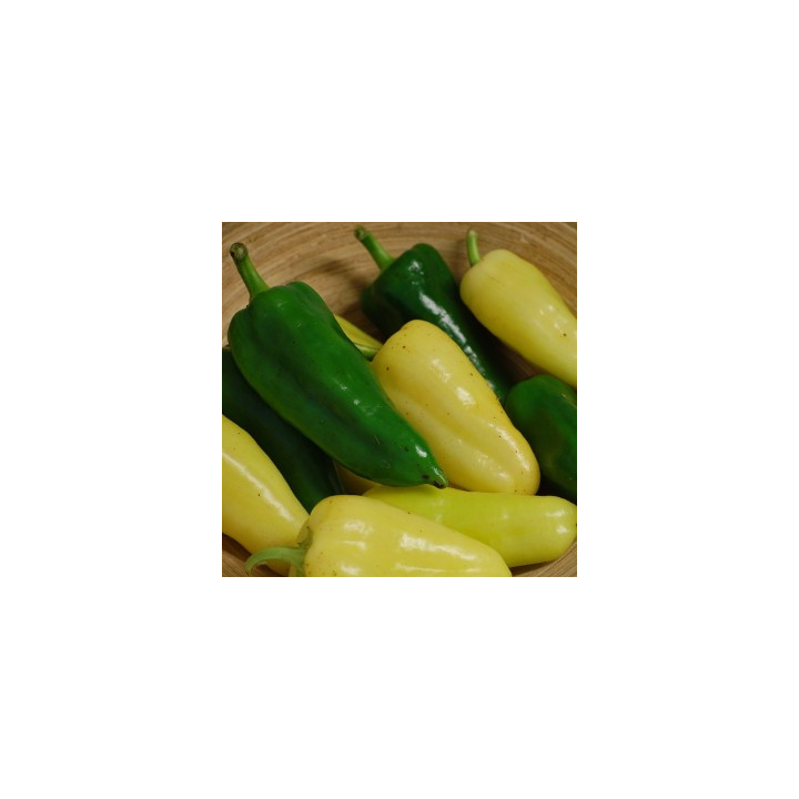 Paprika zelená 300g (Kříž, Tvarožná) 