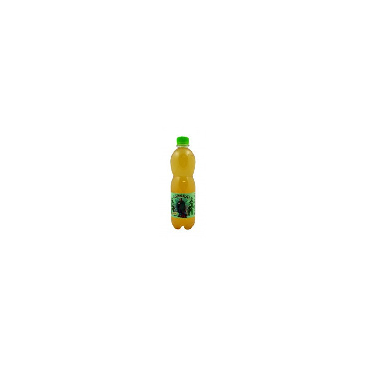 Kombucha kopřiva 0,5 litr
