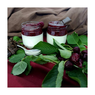 Slížanský jogurt višeň s čokoládou 200ml (Statek Slížany)