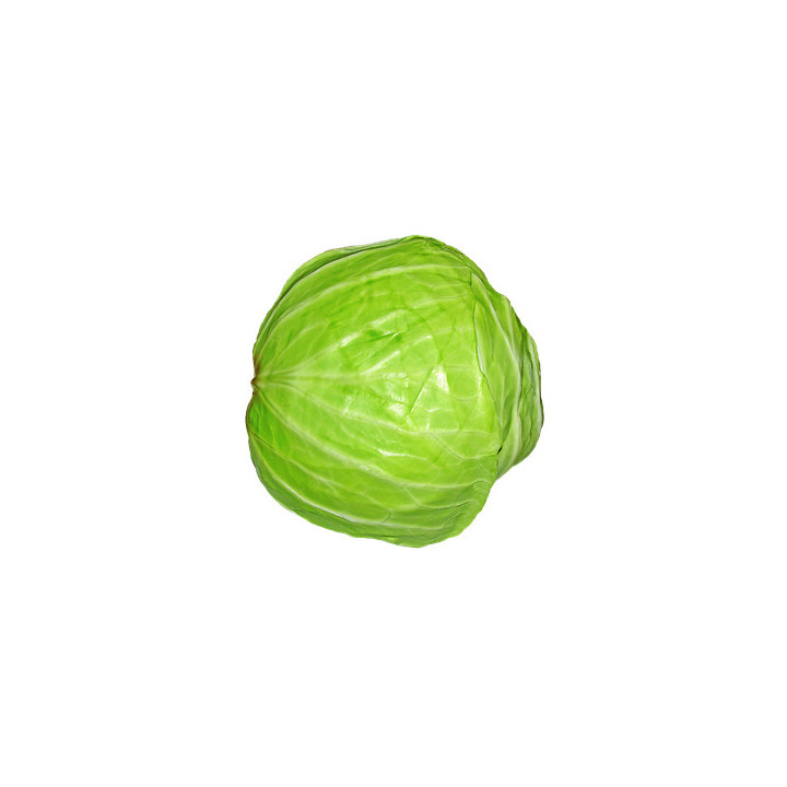 Zelí bílé rané hlávka 1 ks (Tvarožná) 