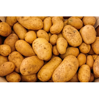 Brambory 1 kg (Tvarožná)
