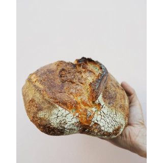 Chleba Brno - 100% pšenice (850g)