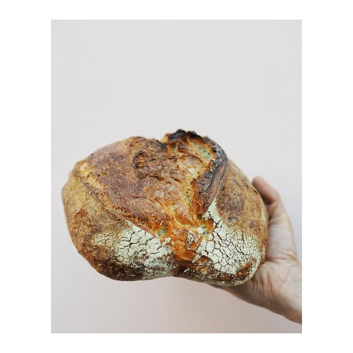 Chleba Brno - 100% pšenice (850g)