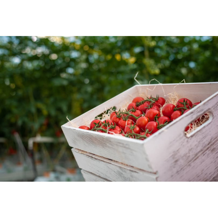 Rajčata cherry na stopce Kožichovice 250g (Farma Kožichovice)