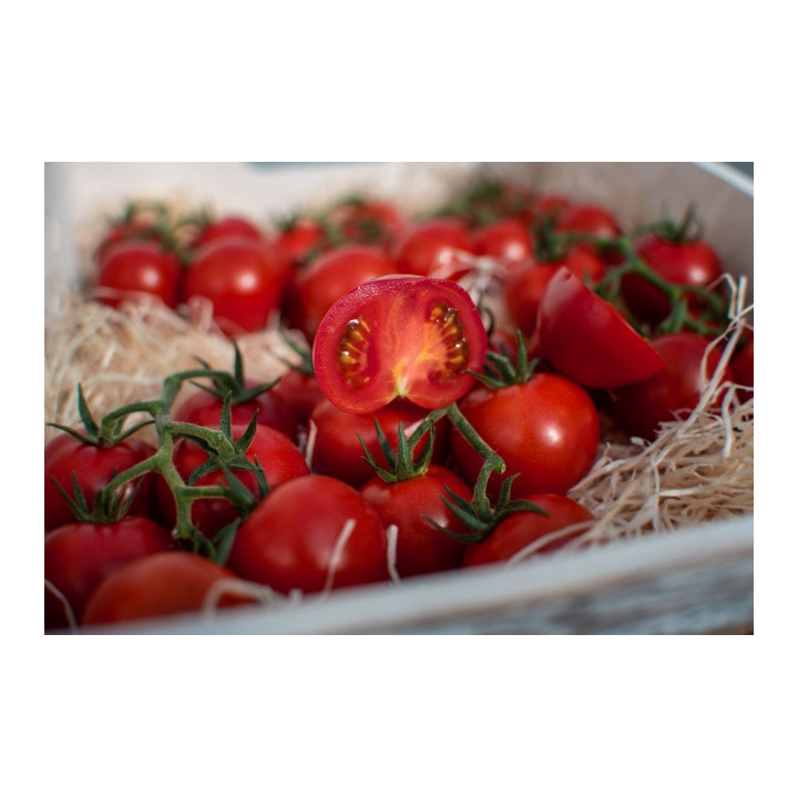 Rajčata cherry na stopce Kožichovice 250g (Farma Kožichovice)