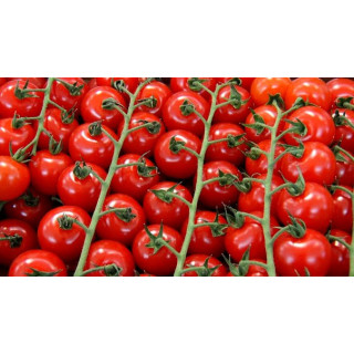 Rajčata cherry na stopce Kožichovice 250g (Farma Kožichovice)