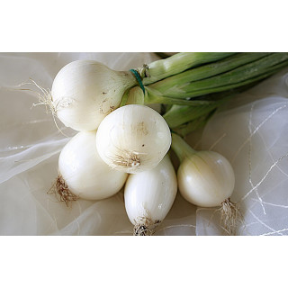 Bio cibule s natí svazek (Socialni podnik Jasan)