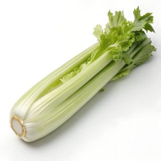 BIO Řapíkatý celer (Damnice)