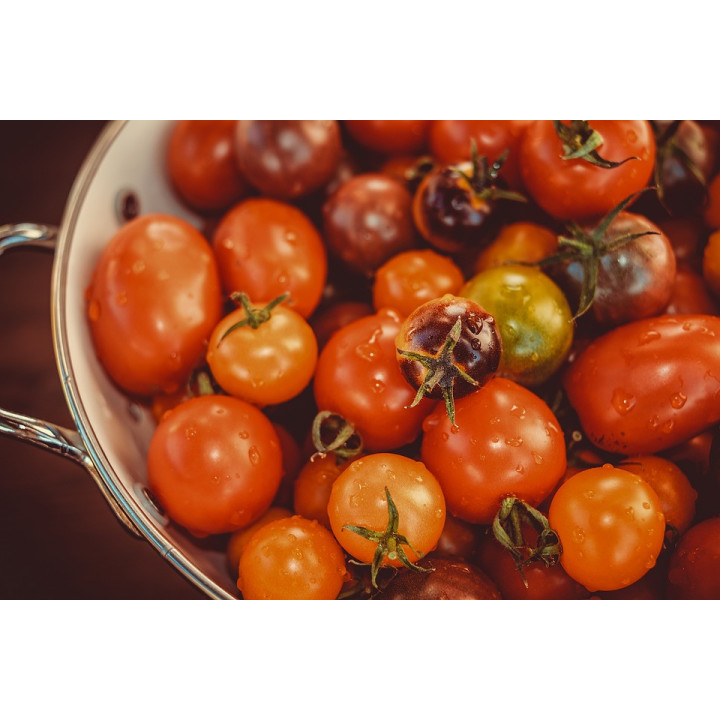 BIO cherry rajče 500g (Damnice) 