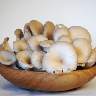 Hlíva ústřičná 300g