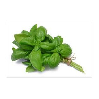 BIO Bazalka řezaná svazek (Damnice) 