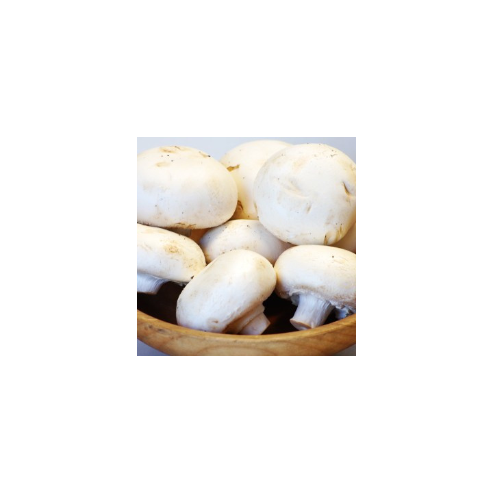 Žampiony 300g (Jesenické houby)