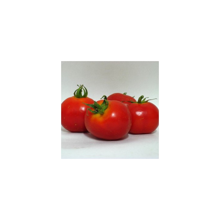 Rajčata 500g (Tvarožná) 