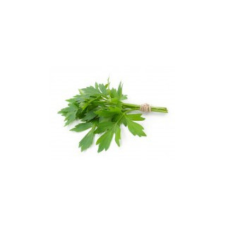 BIO Libeček svazek (Damnice)